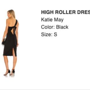 Revolve High Roller Dress